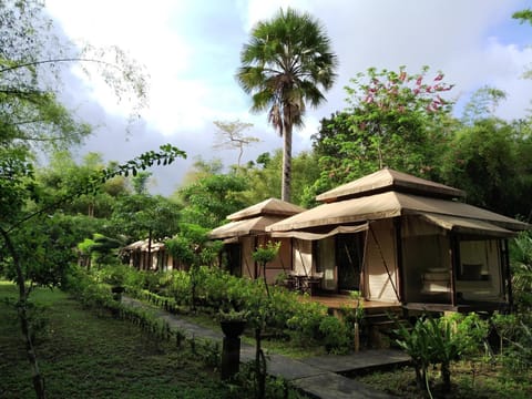 Property building, Natural landscape, Garden, Garden view