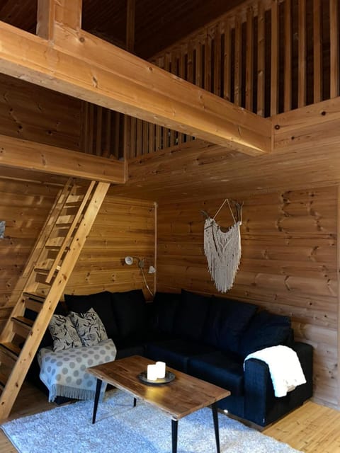 Rukan HonkaLempi House in Lapland