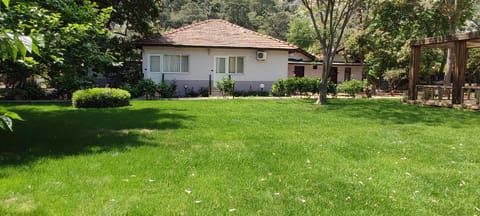 Natural landscape, Garden, Garden view