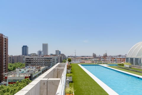 Swimming pool, Swimming pool