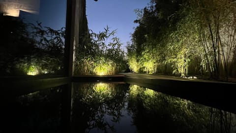 Night, Garden view