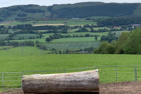 Woodhead Shepherds Hut - Sleeps 2 - Parking House in Perth