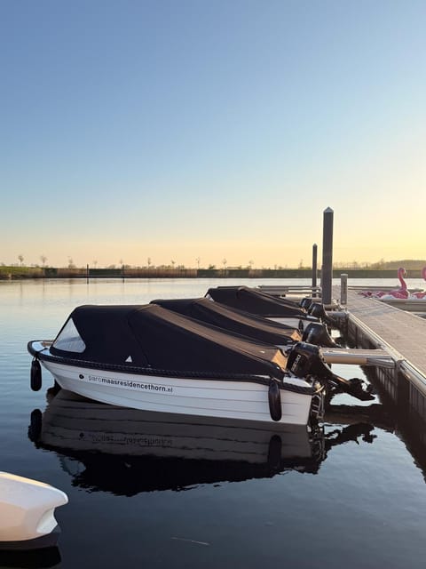Day, Activities, Lake view