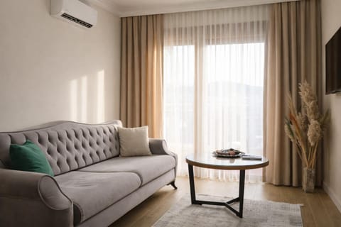 TV and multimedia, Living room, Seating area, air conditioner