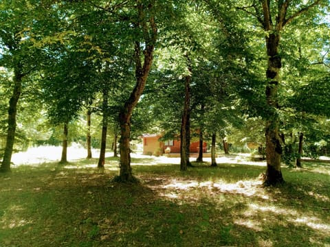 Chalet en forêt, brame du cerf Chalet in Île-de-France
