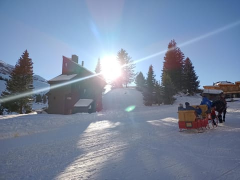 Chalet Avoriaz 12 pers, skis aux pieds, cheminée, terrasse sud - FR-1-633-33 Chalet in Avoriaz