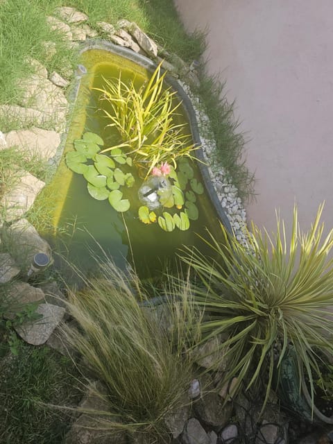 Tylyan House in Le Thor