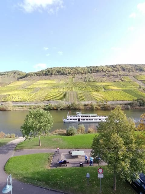 Moselena Apartment in Cochem-Zell