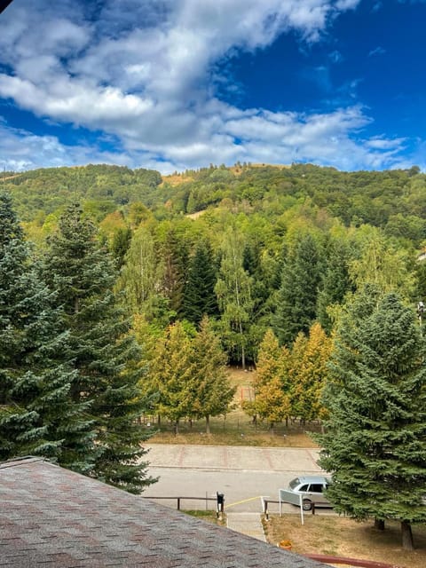 Day, Natural landscape, Summer, Autumn, On site, Seasons, Time of day, Location, Sunrise