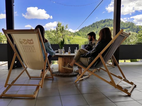 Balcony/Terrace, Lounge or bar