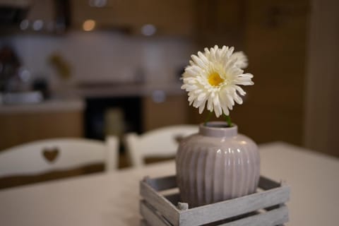 Kitchen or kitchenette, Living room, Decorative detail