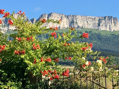 Nearby landmark, View (from property/room)