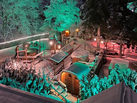 Patio, Night, Natural landscape, Activities, Winter, Hot Tub, Sauna, Steam room, Spa and wellness centre/facilities, Other, Garden view, Area and facilities, Open Air Bath, VIP