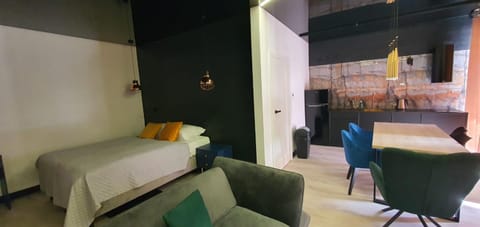 Bed, Kitchen or kitchenette, Living room, Photo of the whole room, Dining area