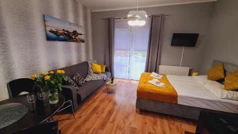 Kitchen or kitchenette, Photo of the whole room, internet, microwave