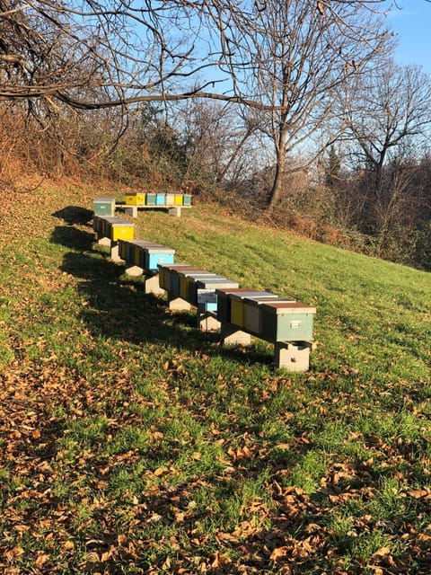 Il Baco Da Seta Farm Stay in Piedmont