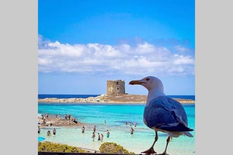 Nearby landmark, Day, Natural landscape, Sea view