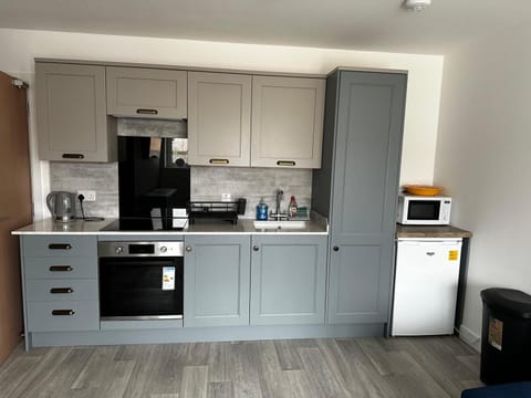 Coffee/tea facilities, Kitchen or kitchenette, oven, stove