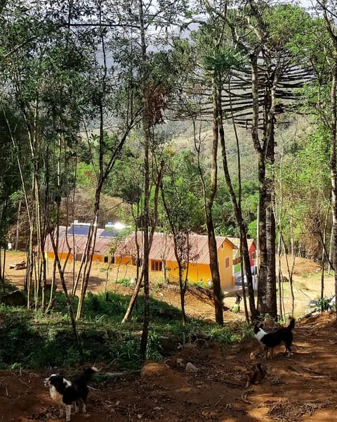 Natural landscape, View (from property/room)