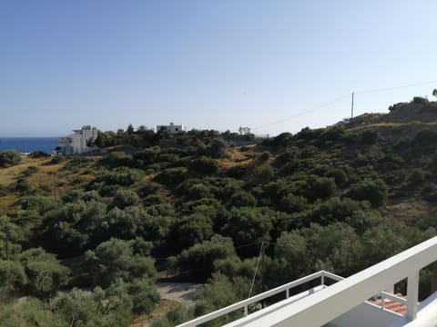 Eleonas Apartment in Crete