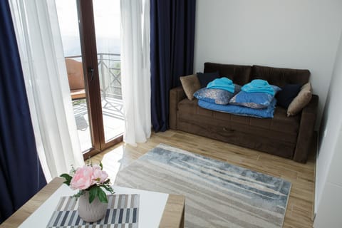 Dvori Sky View E14 Kopaonik - free private parking Apartment in Serbia