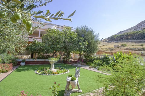 Natural landscape, Garden, Garden view, Mountain view