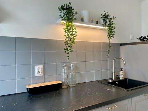 Kitchen or kitchenette, kitchen