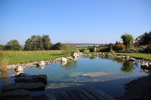 Garden view, Swimming pool