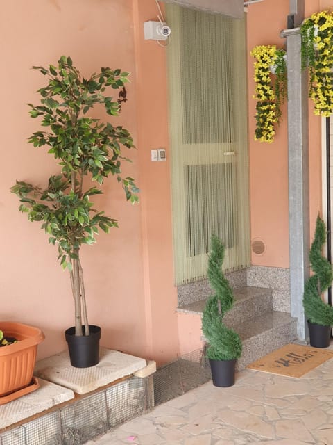 Patio, Facade/entrance