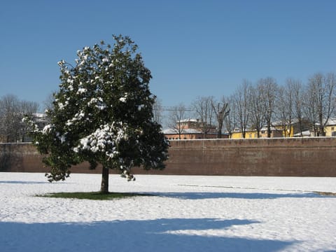 Le MURA MEDIEVALI Apartment in Capannori