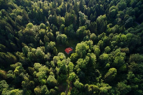Day, Natural landscape