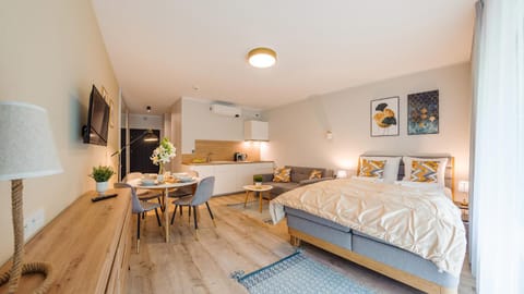 Bed, Kitchen or kitchenette, Photo of the whole room, Seating area, Dining area