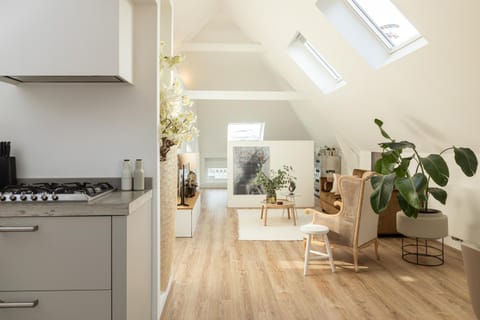 Huize Copes apartment Den Haag, 2 bed, 2 bath Apartment in The Hague