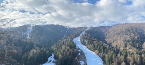 Skiing, Mountain view
