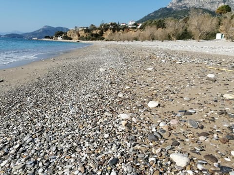 Nearby landmark, Beach