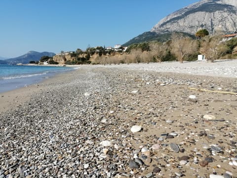 Nearby landmark, Beach