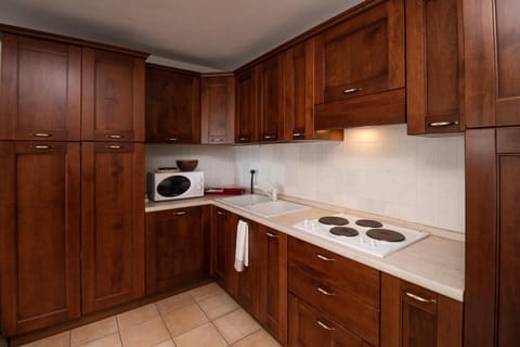 Kitchen or kitchenette, kitchen