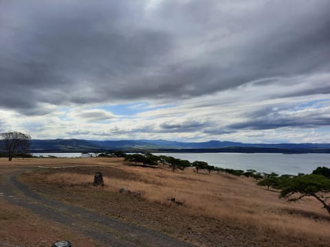 Natural landscape
