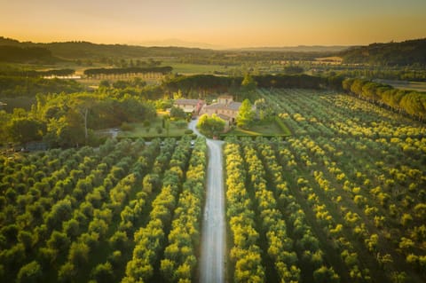 Agriturismo Il Selvino Farm Stay in Tuscany