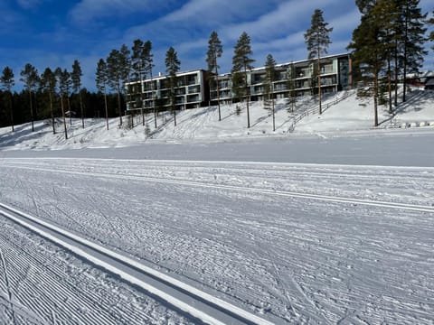 Property building, Natural landscape, Winter