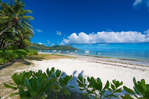 Snorkeling, Beach, Canoeing, Sea view