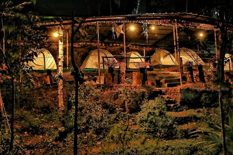Night, Natural landscape, Garden view