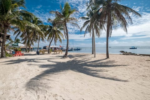Beach, Sea view, Sea view, Sunrise