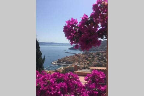 Appartamento panoramico: Residence Ulivi e Sole Apartment in Porto Santo Stefano