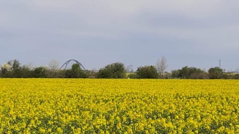 Vier Jahreszeiten 3 37 Apartment in Großenbrode