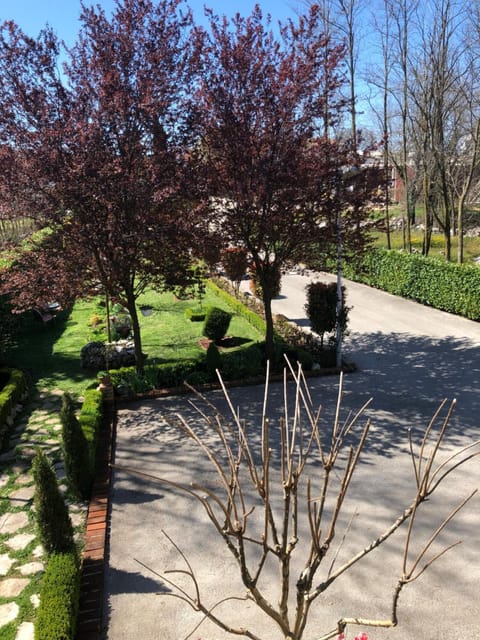 Pansion Lazine Bed and Breakfast in Federation of Bosnia and Herzegovina