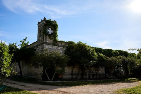 Property building, Spring, Day, Natural landscape, Garden