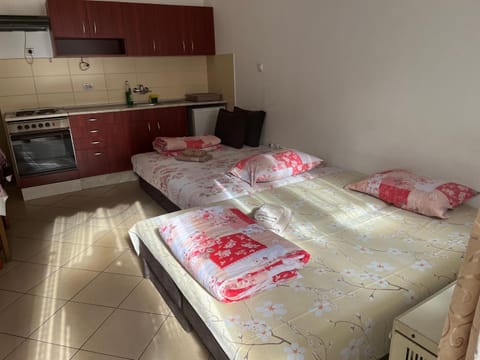 Mladenović smeštaj Apartment in Serbia