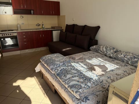 Mladenović smeštaj Apartment in Serbia