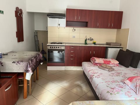 Mladenović smeštaj Apartment in Serbia